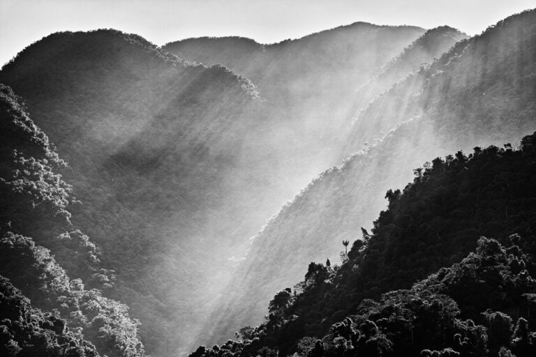 tumblr m6nha6ui821rsu3l7o1 r1 1280